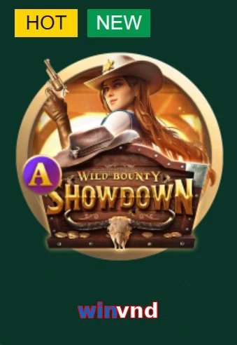 winvnd