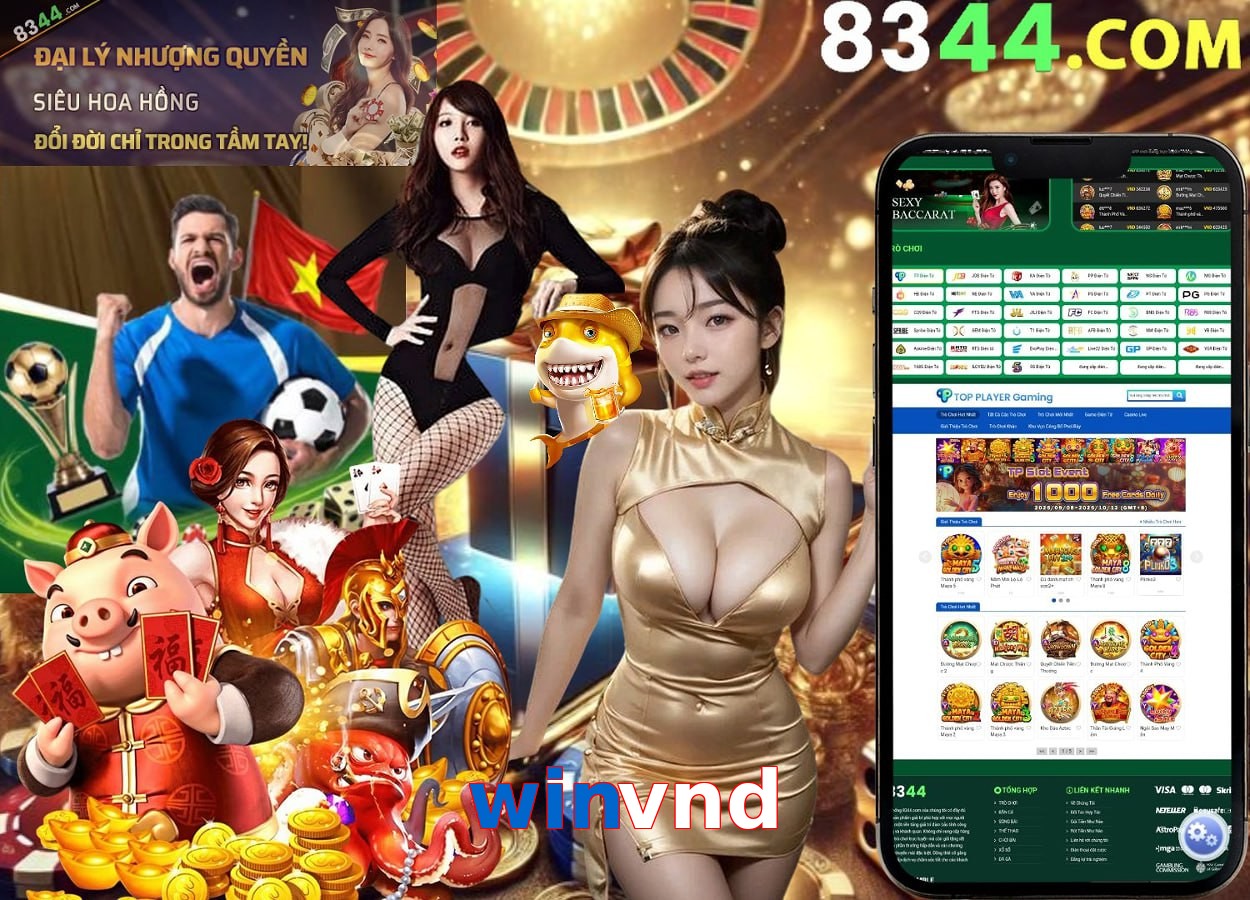 winvnd